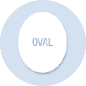 Oval Shape Hand Fan