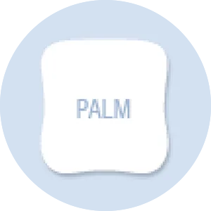 Palm Shape Hand Fan
