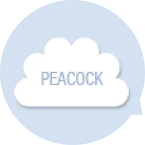 Peacock Shape Hand Fan